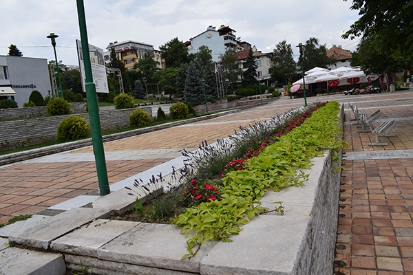 Ново озеленяване краси площад „България“ в Сандански